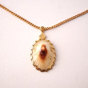 Opihi shell Necklace